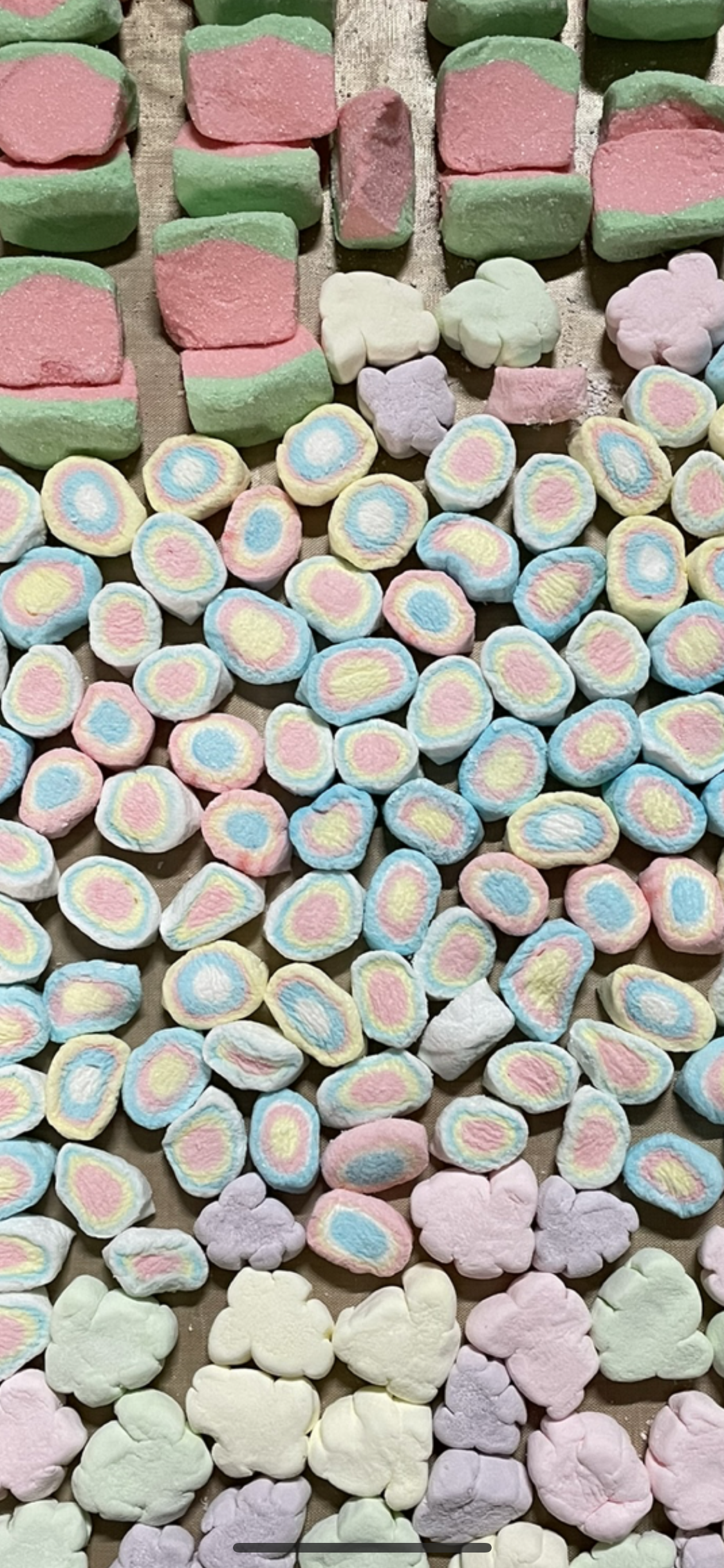 Freeze Dried Marshmallows