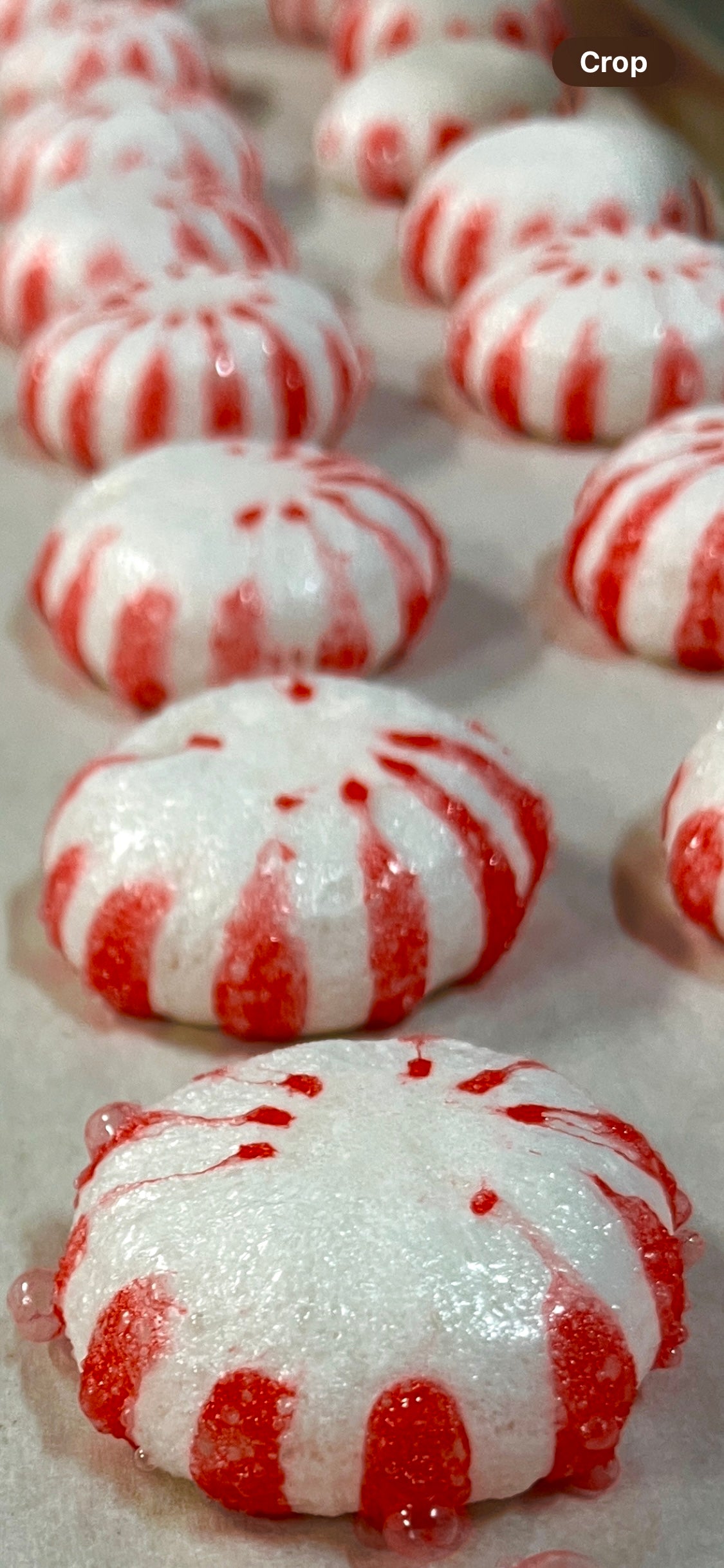 Star Mints PEPPERMINT (Freeze Dried)