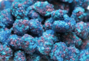 SOUR BLUE RAZZ GUMMY GEEK